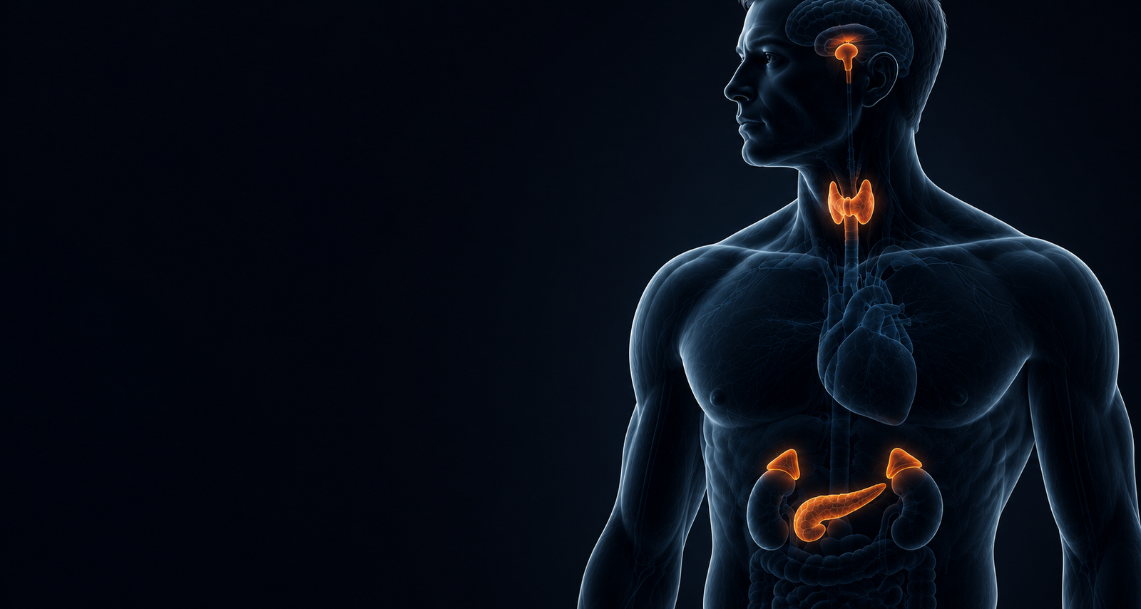 endocrinology-heroimage